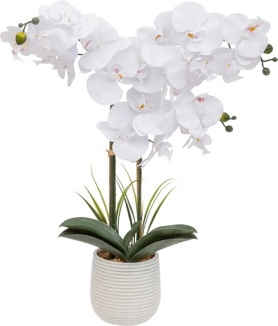 Atmosphera Plante artificielle fleur d'orchidée - dans un pot de fleur blanc - fleurs blanches - H60 cm
