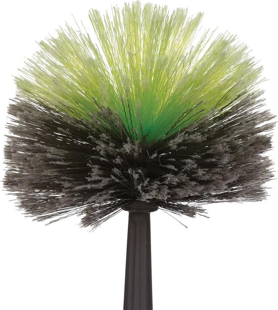 Ronde spinnenrager met een mix van donkergrijze en lichtgroene borstelharen.