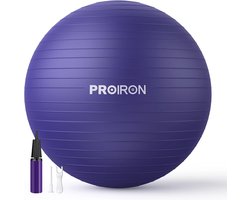 Proiron Exercise Ball Pezziball Chair Ball 55 cm 65 cm 75 cm with Pump Anti Burst Robust for Adults Office Pregnancy Pezzi Balls Gymnastics Balls