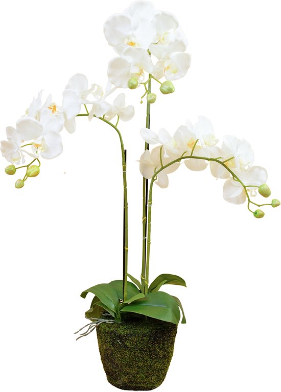 Greenmoods Kunstplanten - Kunstplant - Orchidee - Wit - Zijde - 58 cm