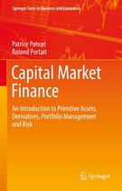 Springer Texts in Business and Economics - Capital Market Finance