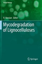 Mycodegradation of Lignocelluloses
