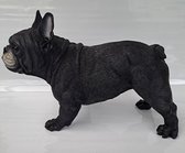 Denza - Bouledogue français longueur unique 49 cm - modèle grandeur nature matériau polystone - décoration chien taureau chien