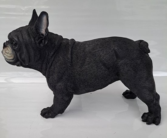 Denza - Franse Bulldog uniek lengte 49 cm - levensgroot model materiaal polystone - hond bul dog decoratie