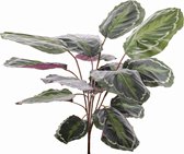 Calathea - Medaillion - kiunstplant - 16 bladeren - natural touch - 76cm - zonder pot