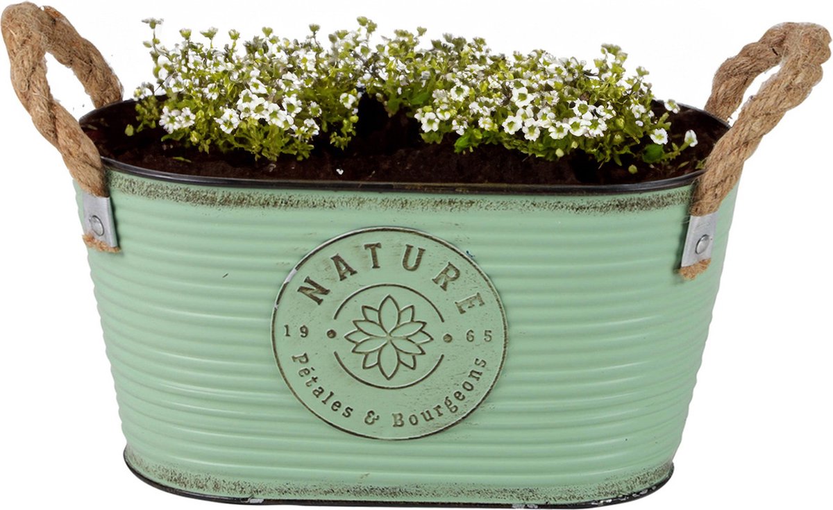 Goedkoopste Sunnydays Teil/plantenpot/bloempot - zink - jadegroen - L24 x D14 x H12 cm