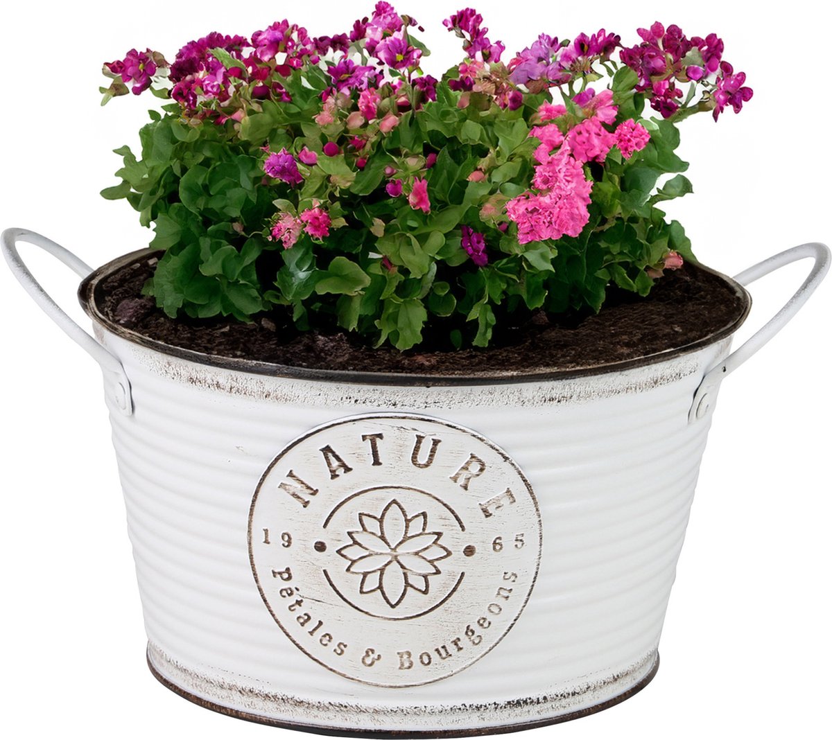 Goedkoopste Sunnydays Teil/plantenpot/bloempot - zink - rond - ivoorwit - D22 x H12 cm