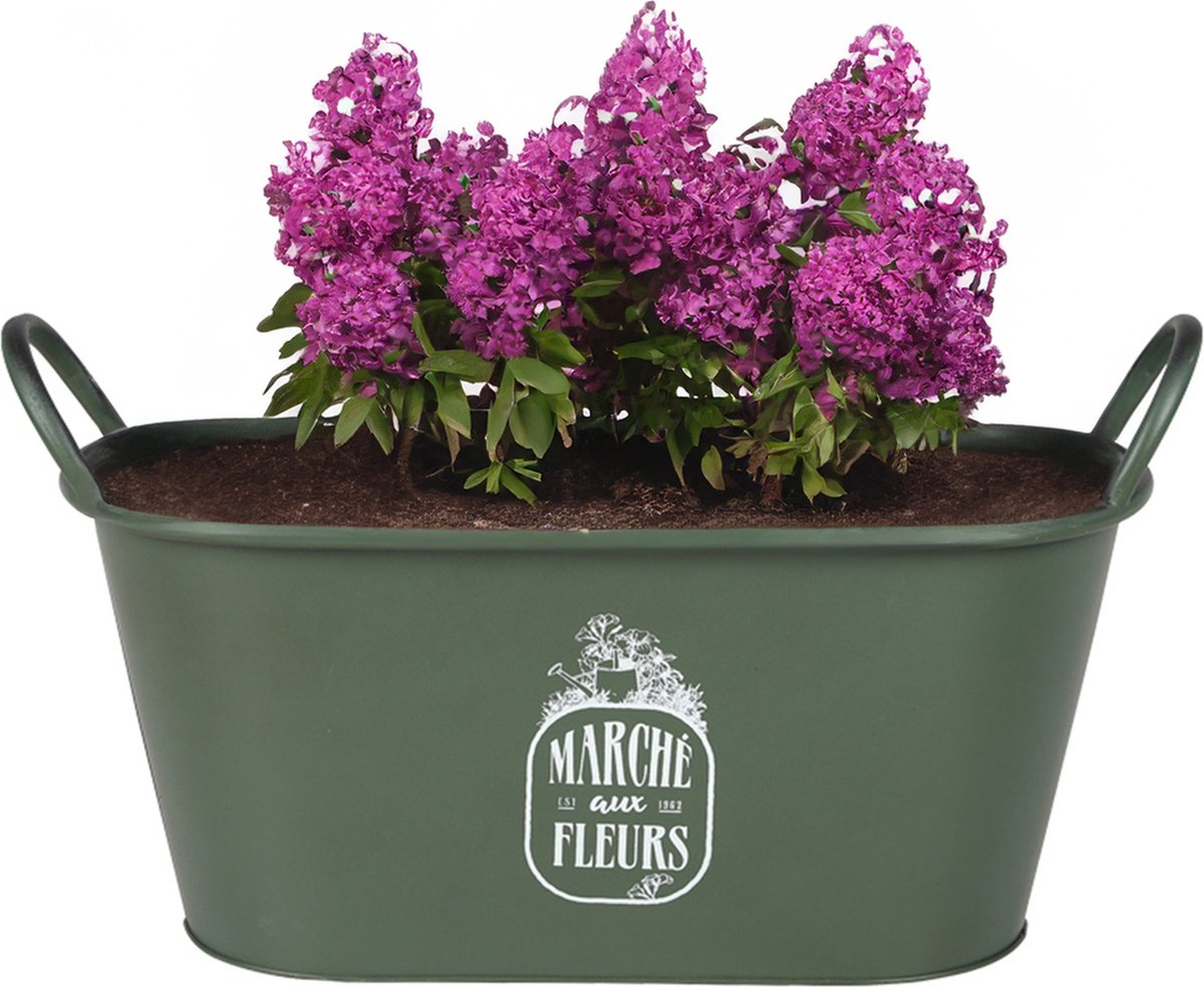 Goedkoopste Sunnydays Teil/plantenpot/bloempot - zink - legergroen - L39 x B16 x H21 cm