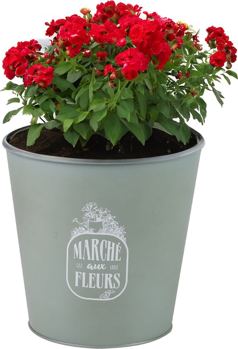 Goedkoopste Sunnydays Emmer/plantenpot/bloempot - zink - jadegroen - D23 x H22 cm