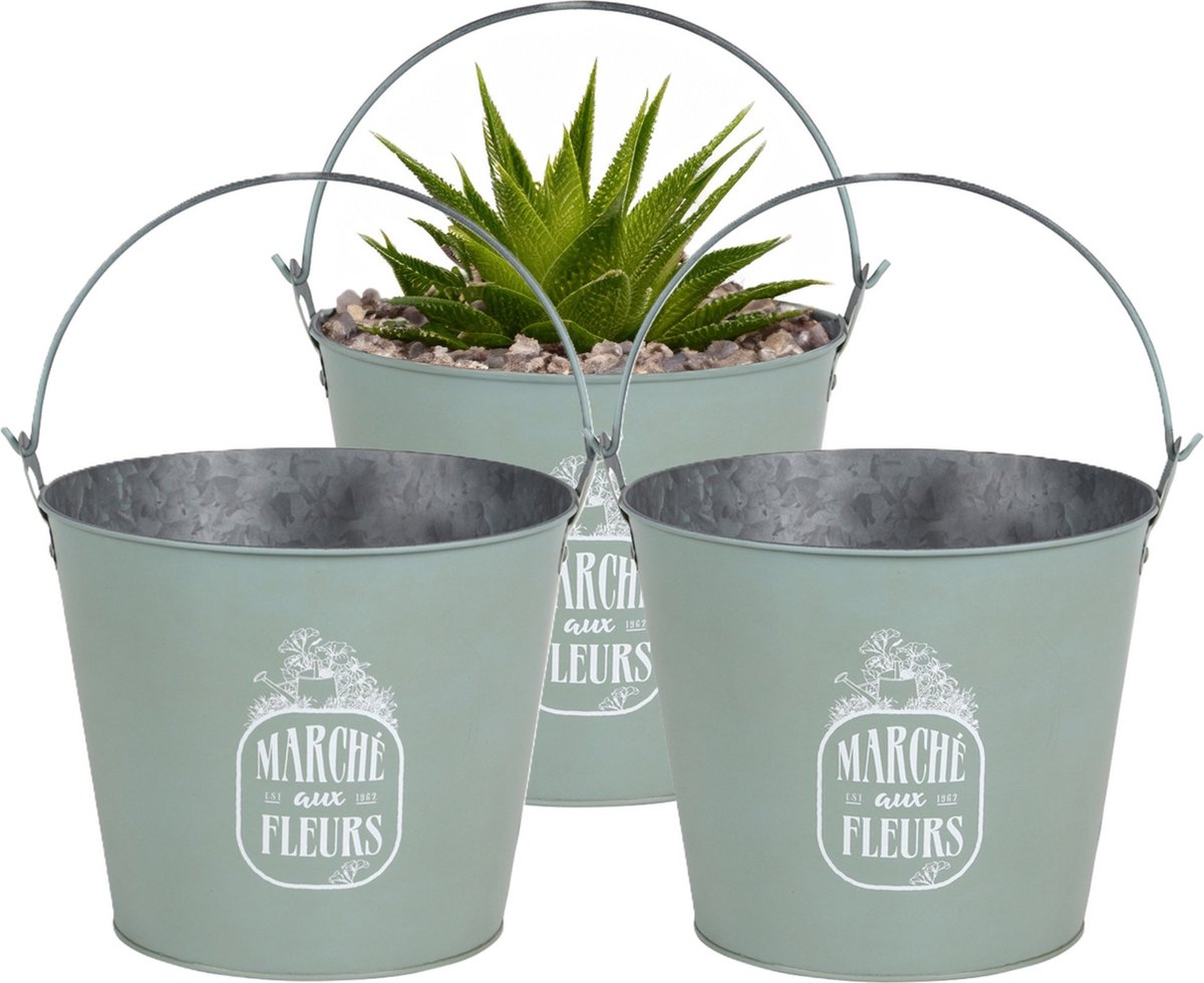 Goedkoopste Sunnydays Emmer/plantenpot/bloempot - 3x - zink - jadegroen - D24 x H19 cm
