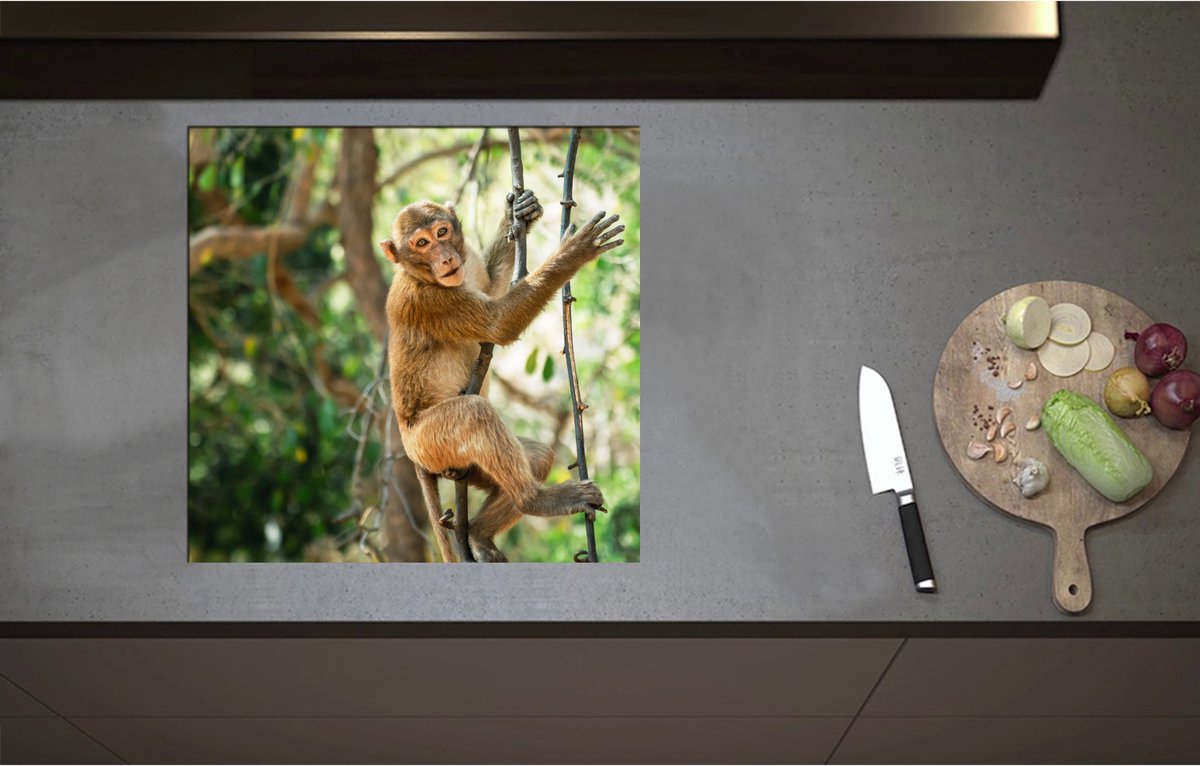 Inductieplaat Beschermer - Aap hangt en zit op takken in de jungle - 57x55 cm - 2 mm Dik - Inductie Beschermer - Bescherming Inductiekookplaat - Kookplaat Beschermer van Wit Vinyl
