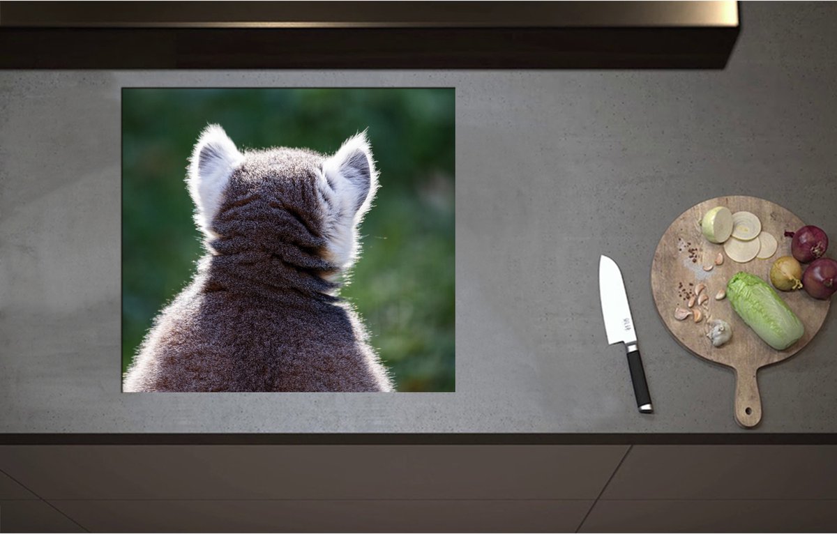 Inductieplaat Beschermer - Achteraanzicht van een Pluizige Ringstaartmaki Aap - 60x55 cm - 2 mm Dik - Inductie Beschermer - Bescherming Inductiekookplaat - Kookplaat Beschermer van Zwart Vinyl