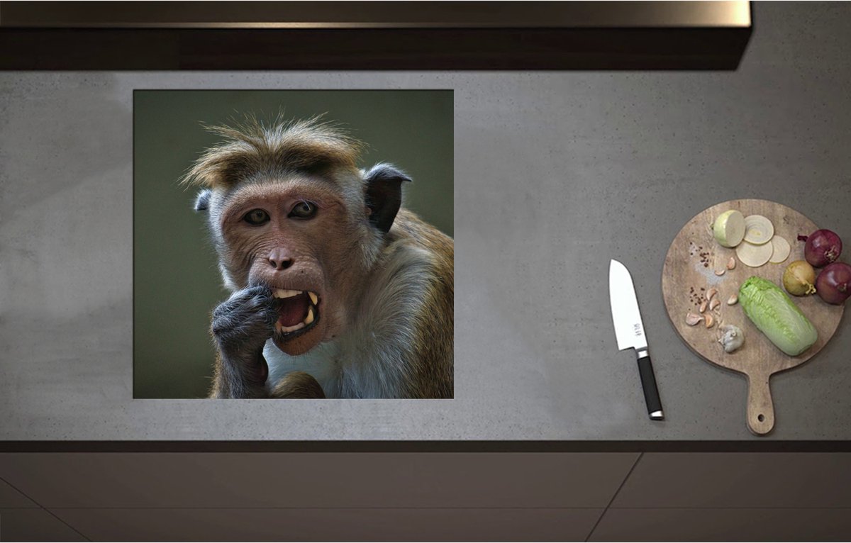 Inductieplaat Beschermer - Aankijkende Resus Aap aan het Eten - 57x55 cm - 2 mm Dik - Inductie Beschermer - Bescherming Inductiekookplaat - Kookplaat Beschermer van Wit Vinyl