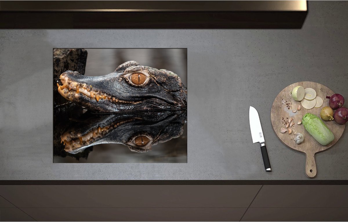 Inductieplaat Beschermer - Alligator Kop boven het Wateroppervlak - 58x50 cm - 2 mm Dik - Inductie Beschermer - Bescherming Inductiekookplaat - Kookplaat Beschermer van Zwart Vinyl