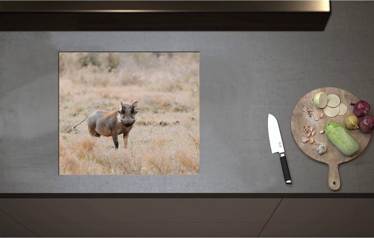 Inductieplaat Beschermer - Aankijkend Zwijn in Droog Afrikaans Landschap - 57x50 cm - 2 mm Dik - Inductie Beschermer - Bescherming Inductiekookplaat - Kookplaat Beschermer van Zwart Vinyl