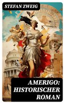 Amerigo: Historischer Roman