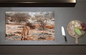 Inductieplaat Beschermer - Achteraanzicht van Sluipende Leeuw in Afrikaans Landschap - 85x51 cm - 2 mm Dik - Inductie Beschermer - Bescherming Inductiekookplaat - Kookplaat Beschermer van Zwart Vinyl