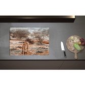 Inductieplaat Beschermer - Achteraanzicht van Sluipende Leeuw in Afrikaans Landschap - 70x50 cm - 2 mm Dik - Inductie Beschermer - Bescherming Inductiekookplaat - Kookplaat Beschermer van Wit Vinyl