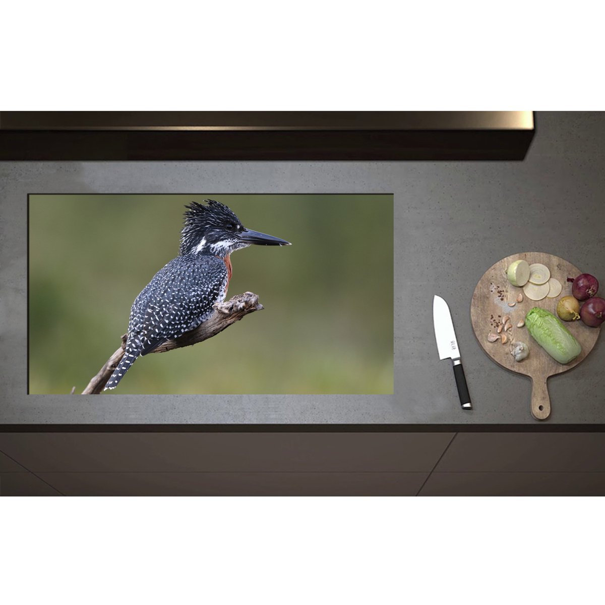 Inductieplaat Beschermer - Afrikaanse Reuzenijsvogel op Tak in de Natuur - 90x50 cm - 2 mm Dik - Inductie Beschermer - Bescherming Inductiekookplaat - Kookplaat Beschermer van Zwart Vinyl