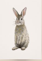 Poster konijn - A4 - mooi dik papier - bosdieren - dieren in aquarel - geschilderd door Mies