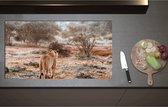 Inductieplaat Beschermer - Achteraanzicht van Sluipende Leeuw in Afrikaans Landschap - 95x52 cm - 2 mm Dik - Inductie Beschermer - Bescherming Inductiekookplaat - Kookplaat Beschermer van Wit Vinyl