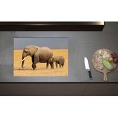 Inductieplaat Beschermer - Afrikaanse Olifant met Baby Olifantje - 70x50 cm - 2 mm Dik - Inductie Beschermer - Bescherming Inductiekookplaat - Kookplaat Beschermer van Wit Vinyl