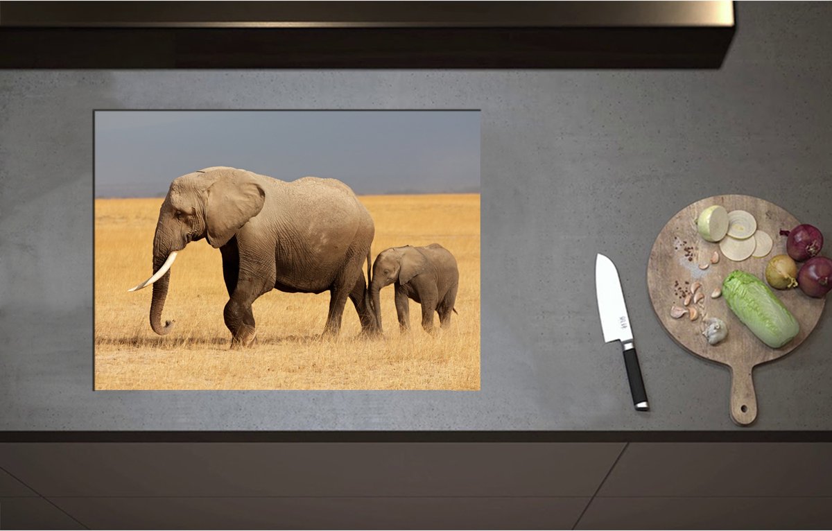 Inductieplaat Beschermer - Afrikaanse Olifant met Baby Olifantje - 70x51 cm - 2 mm Dik - Inductie Beschermer - Bescherming Inductiekookplaat - Kookplaat Beschermer van Wit Vinyl