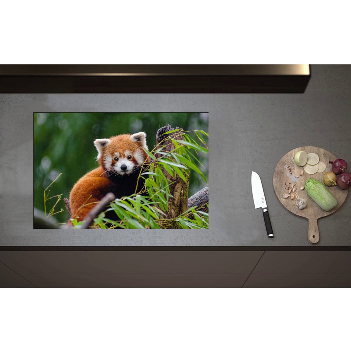 Inductieplaat Beschermer - Aandoenlijke Rode Panda op Boomstam met Groene Planten - 75x50 cm - 2 mm Dik - Inductie Beschermer - Bescherming Inductiekookplaat - Kookplaat Beschermer van Zwart Vinyl