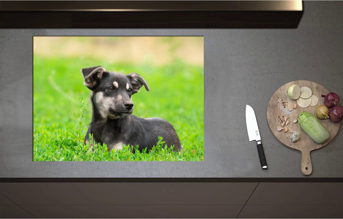 Inductieplaat Beschermer - Aandoenlijke Zwart met Bruine Puppy liggend in het Grasveld - 75x55 cm - 2 mm Dik - Inductie Beschermer - Bescherming Inductiekookplaat - Kookplaat Beschermer van Wit Vinyl