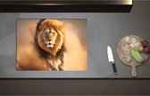 Inductieplaat Beschermer - Aanstormende Mannetjes Leeuw door het Afrikaanse Landschap - 71x52 cm - 2 mm Dik - Inductie Beschermer - Bescherming Inductiekookplaat - Kookplaat Beschermer van Wit Vinyl