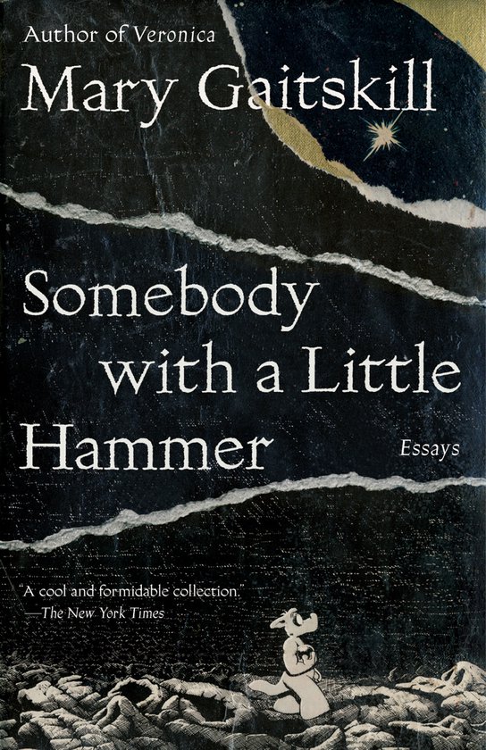 Somebody with a Little Hammer - cover