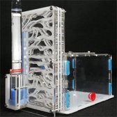 S&D - Terrarium - Ferme de fourmis - Kit de construction DIY - 20x15x10cm - Wit / Transparent