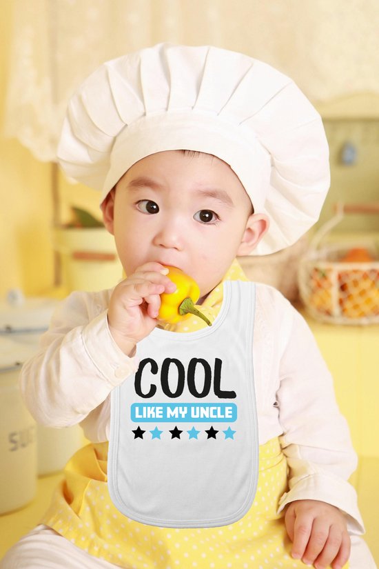 Bellatio Decorations Baby slabbetje - roze - cool like my aunt - kraam kado - slab/morsdoek - tante van BELLA — afbeelding 2