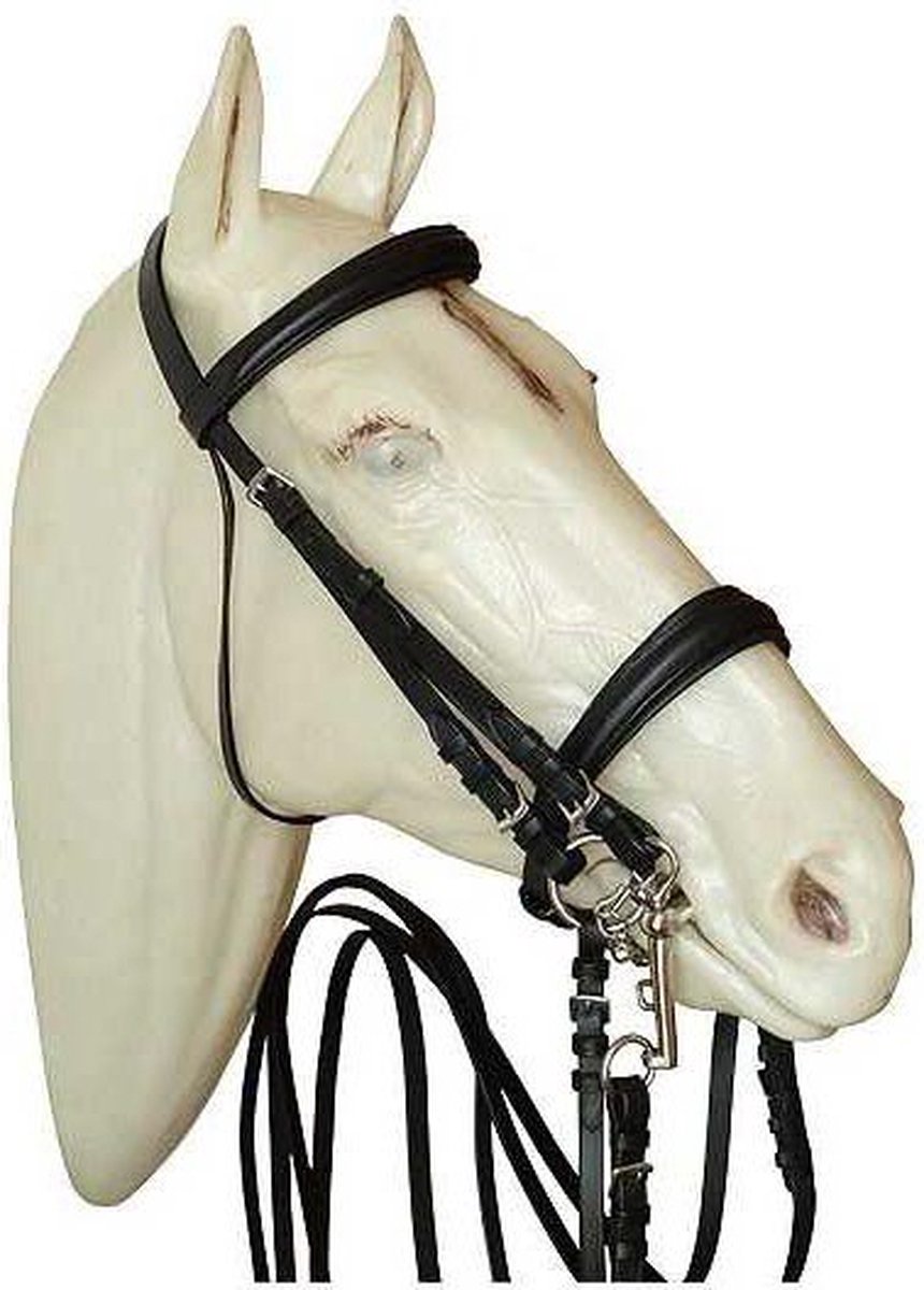 Marjoman Distribucion Dressage For Snaffle And Bit Winoseband Hoofdstellen Zwart Cob