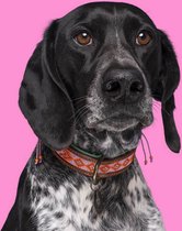 DWAM Dog with a Mission Halsband Hond – Hondenhalsband – Roze – XXL – Leer – Halsomvang tussen 55-65 x 4 cm – Sweet Mae