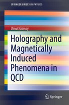 SpringerBriefs in Physics - Holography and Magnetically Induced Phenomena in QCD