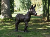 Tuinbeeld - brons - Ezel veulen - Bronzen beeld - 30 cm hoog - bronzartes
