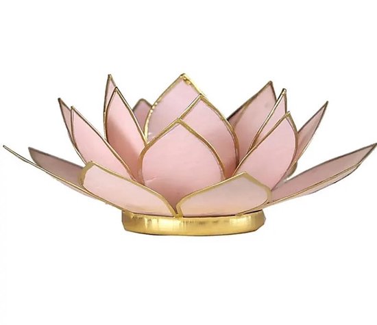 Lotus Sfeerlicht pastel roze goudrand Ø16x7 in geschenkverpakking