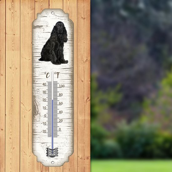 Weerstation met solar buitensensor - Buitenthermometer kopen