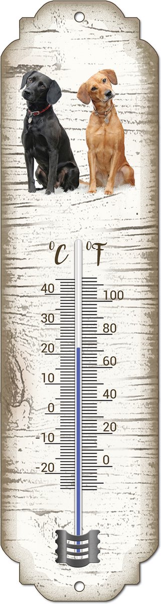 Thermometer: Labrador | Hondenras | Temperatuur binnen en buiten | -25 tot +45C