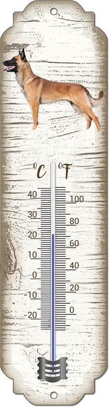 Thermomètre vertical aspect bois de bouleau avec un berger malinois et une échelle en Celsius et Fahrenheit.