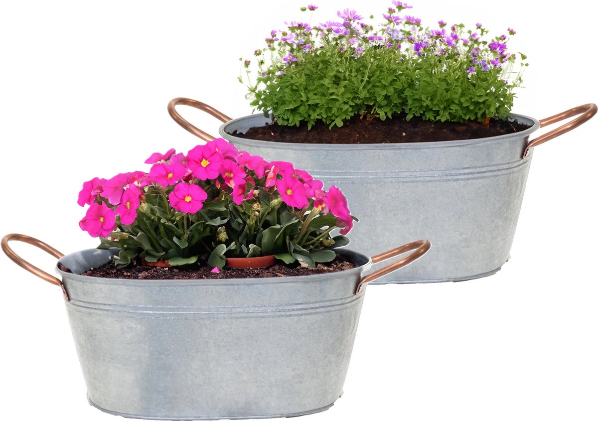Goedkoopste Mega Collections Teil/plantenpot/bloempot Jean - 2x - ovaal - zink - zilver - L27 x D18 X H12 cm