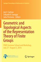 Springer Proceedings in Mathematics & Statistics- Geometric and Topological Aspects of the Representation Theory of Finite Groups