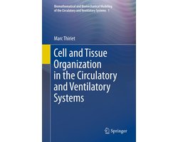 Cell and Tissue Organization in the Circulatory and Ventilatory Systems