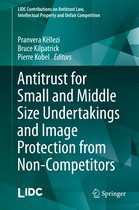 Antitrust for Small and Middle Size Undertakings and Image Protection from Non C