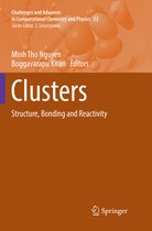 Challenges and Advances in Computational Chemistry and Physics- Clusters