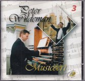 Peter Wildeman Musiceert deel 3 - Peter Wildeman