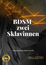 10 Kurzgeschichten 4 - BDSM zwei Sklavinnen