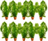 vdvelde.com - Waterpest - 10 stuks - Elodea Densa - Zuurstofplant - Volgroeide hoogte: 60 cm - Plaatsing: los in het water