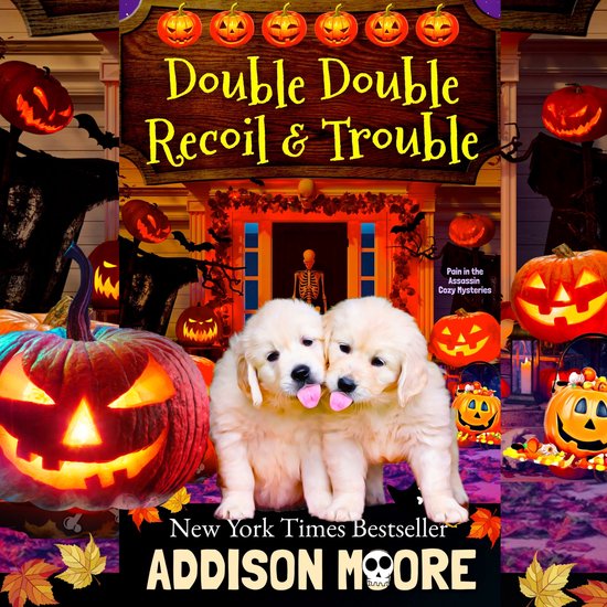Double Double Recoil and Trouble - cover